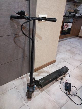 Patinete Eléctrico EGRET ONE