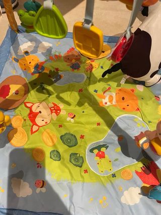 Manta y gimnasio VTech cantarín