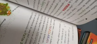 Geronimo Stilton Viaje al reino de la fantasia