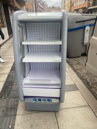 Nevera expositora Danone panorámica