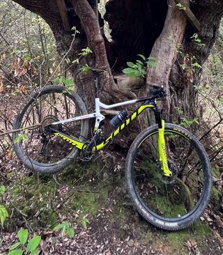 Scott Spark Nino Schurter