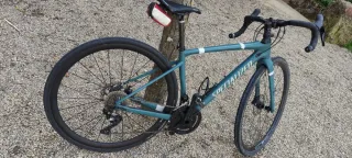 Specialized Diverge T52