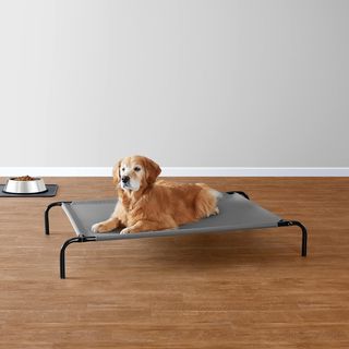 Cama elevada para perros gris