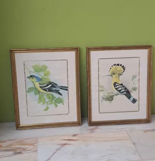 Cuadros antiguos de pájaros