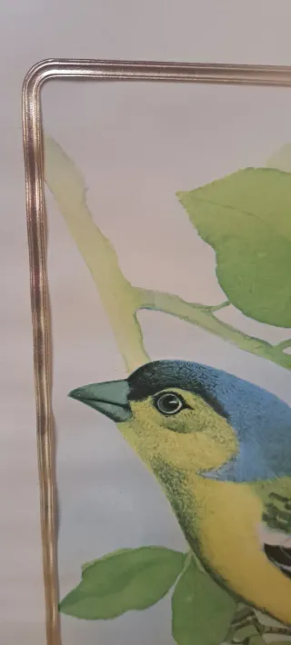 Cuadros antiguos de pájaros