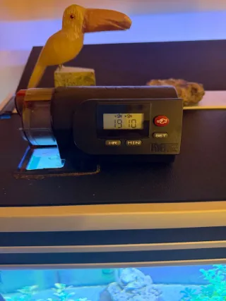 Acuario 240L con mueble