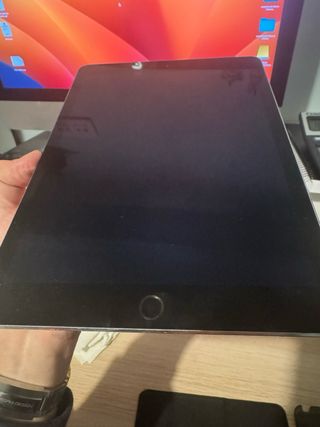 iPad Air 2 4G Gris/Plata