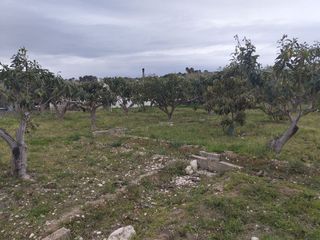 Terreno en venta en Callosa d´En Sarrià
