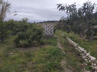 Terreno en venta en Callosa d´En Sarrià