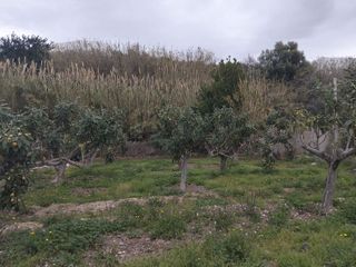 Terreno en venta en Callosa d´En Sarrià