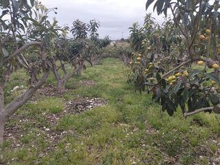 Terreno en venta en Callosa d´En Sarrià