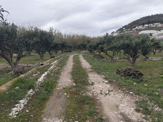 Terreno en venta en Callosa d´En Sarrià