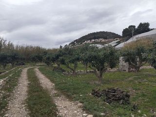 Terreno en venta en Callosa d´En Sarrià