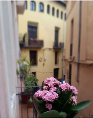 Piso en venta en El Carme en Valencia