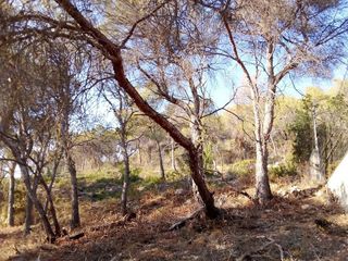 Terreno en venta en Mas Trader-Corral D’En Tort-Corral D’En Cona en Cubelles