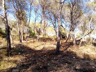 Terreno en venta en Mas Trader-Corral D’En Tort-Corral D’En Cona en Cubelles