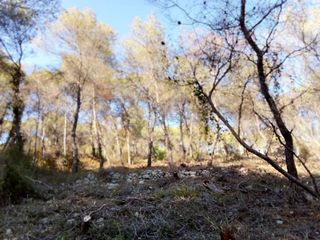 Terreno en venta en Mas Trader-Corral D’En Tort-Corral D’En Cona en Cubelles