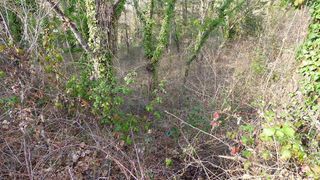 Terreno en venta en Moià