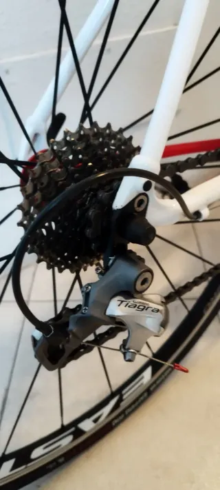 Bicicleta Specialized Secteur Elite