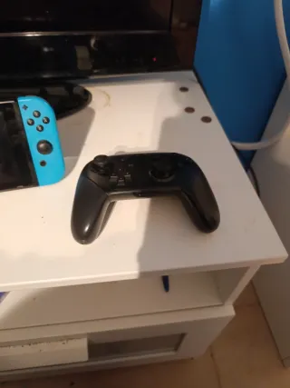 Nintendo Switch + Mando Pro