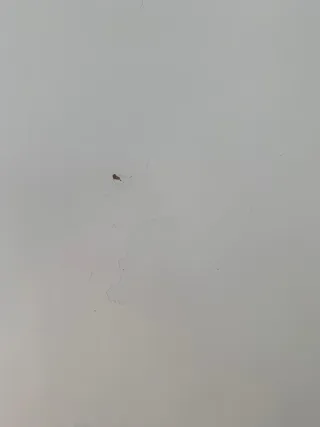 Escritorio elevable IKEA LAGKAPTEN/OLOV blanco 2m