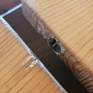 Mesa centro madera maciza