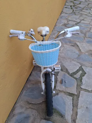 Bicicleta Rosa y Celeste 4-8Años