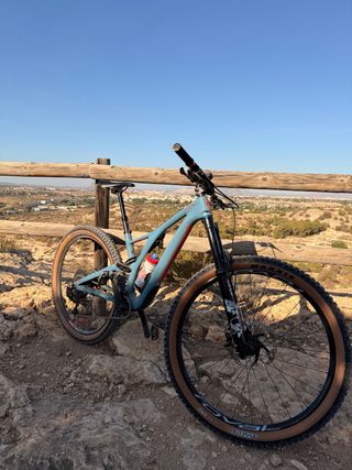 Bicicleta Stumpjumper FSR Carbon 29