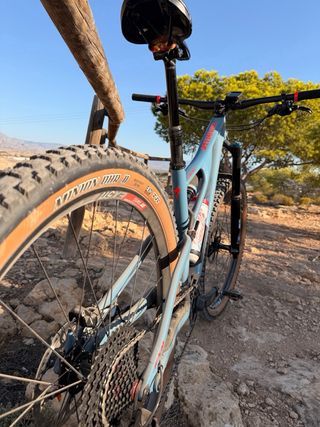 Bicicleta Stumpjumper FSR Carbon 29