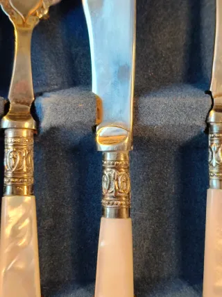 Set posate madreperla