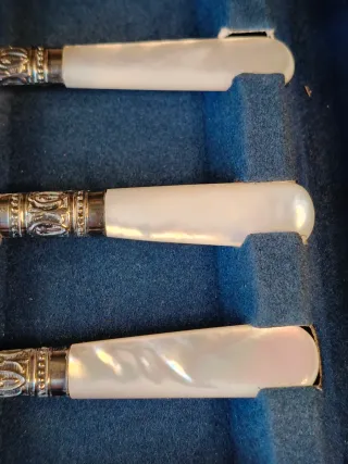 Set posate madreperla