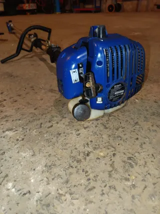 Motosierra de Pértiga Einhell