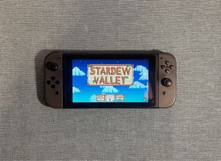 Nintendo Switch Gris + accesorios extra