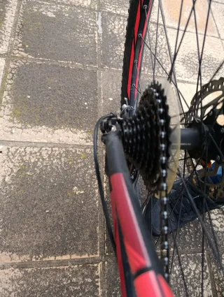 Bicicleta Focus 29 perfecto estado