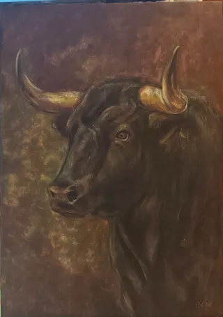 Tauromaquia Toro