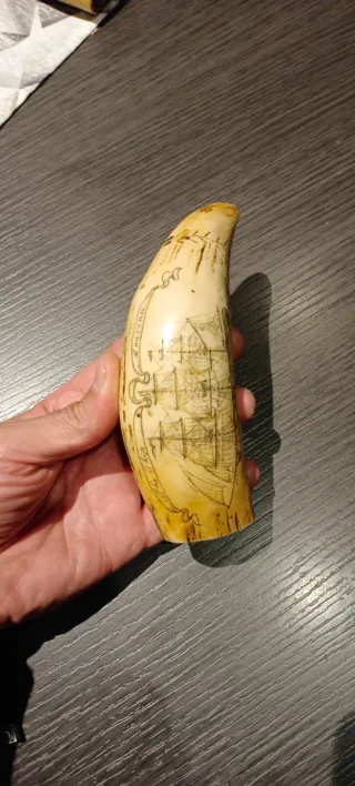 Diente Cachalote Réplica Grabado Retrato