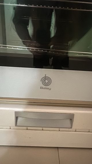 Horno Balay Profesional 508