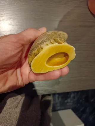 Diente Cachalote (Replica Srimshaw)