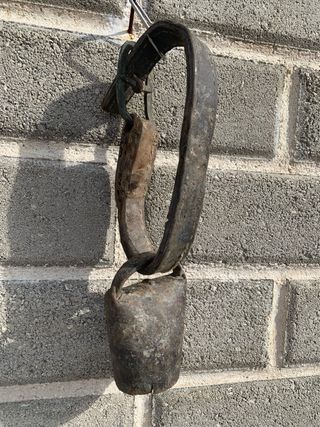 Campanaccio antico da collezione