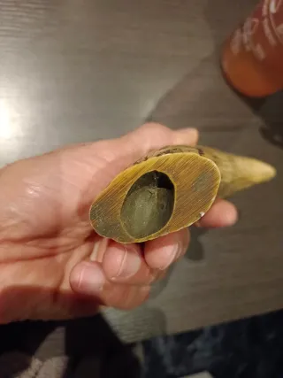 Diente Cachalote (Réplica scrimshaw)