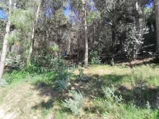 Terreno en venta en Náquera