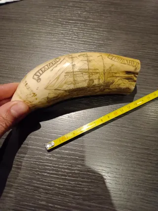 Diente Cachalote (Replica Srimshaw).