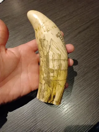 Diente Cachalote (Replica Srimshaw).