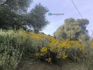 Terreno en venta en Ubrique