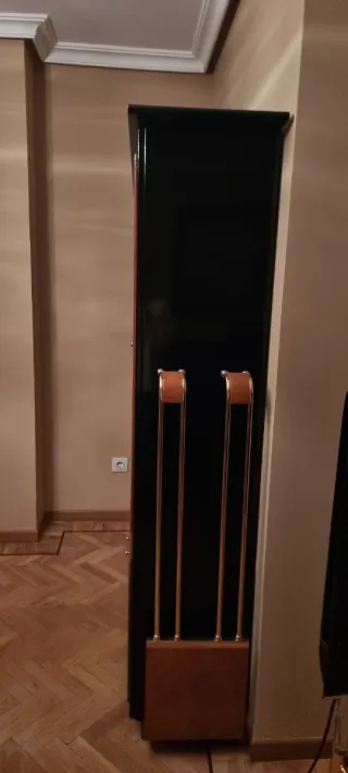 Vitrina de madera y cristal negra y dorada