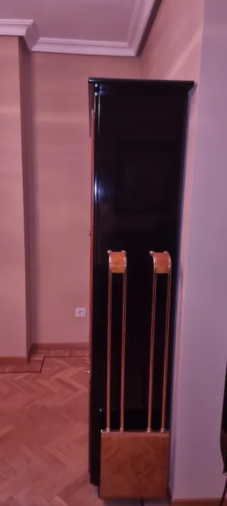 Vitrina de madera y cristal negra y dorada