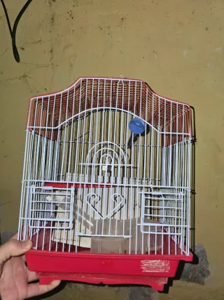 3 Jaulas para pájaros