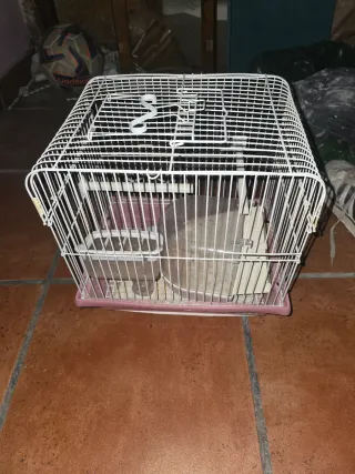 3 Jaulas para pájaros