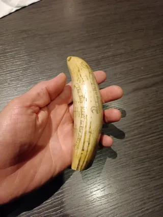 Diente de Cachalote (Réplica scrimshaw)