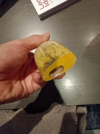 Diente de Cachalote (Réplica scrimshaw)